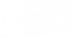 We Grow Your Business Online