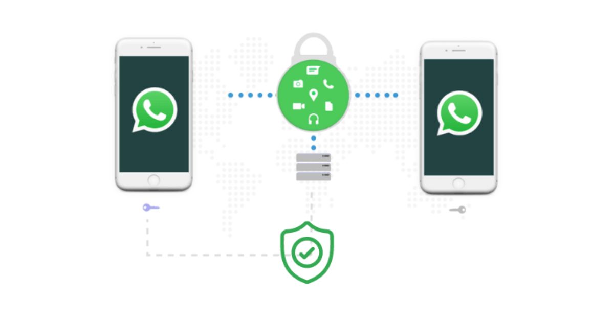 Whatsapp Automation Security